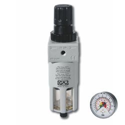 Filter & Reducer In Line 1' Regulator